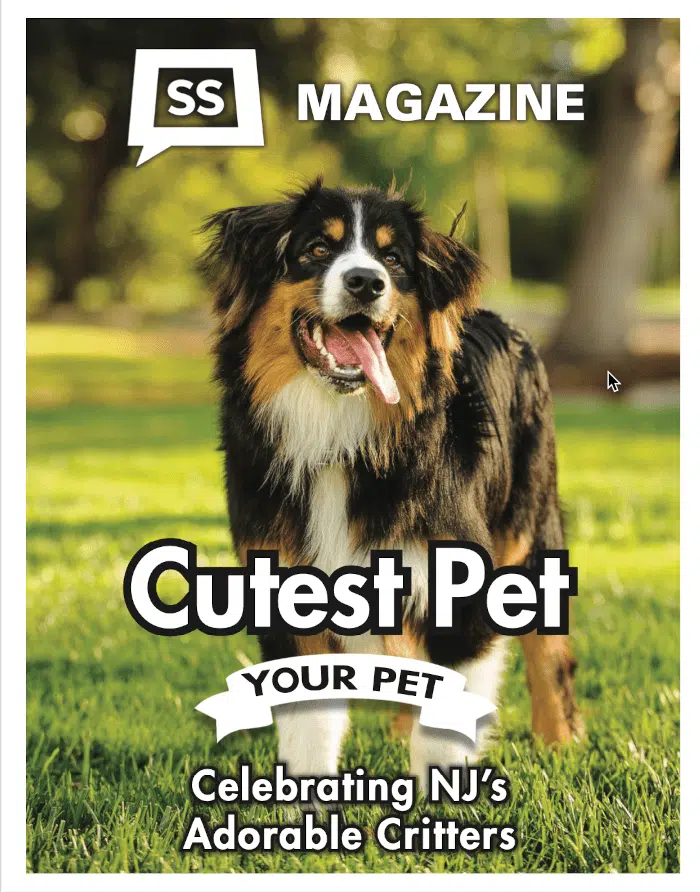 Cutest Pet Contest Poster